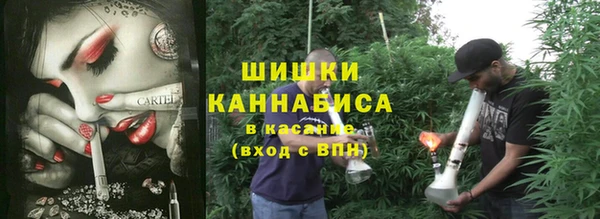 эйфоретик Баксан