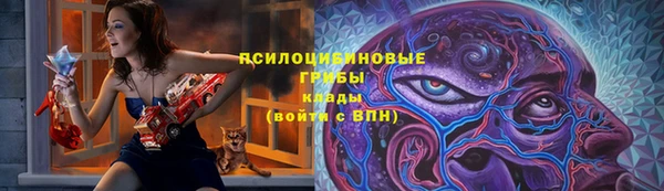 эйфоретик Баксан