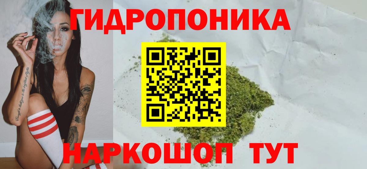 МАРИХУАНА план Губаха